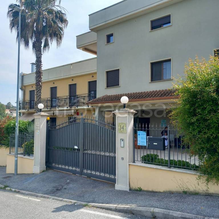 immagine annuncio 2 di 13