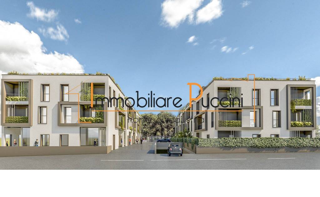 immagine annuncio 2 di 12