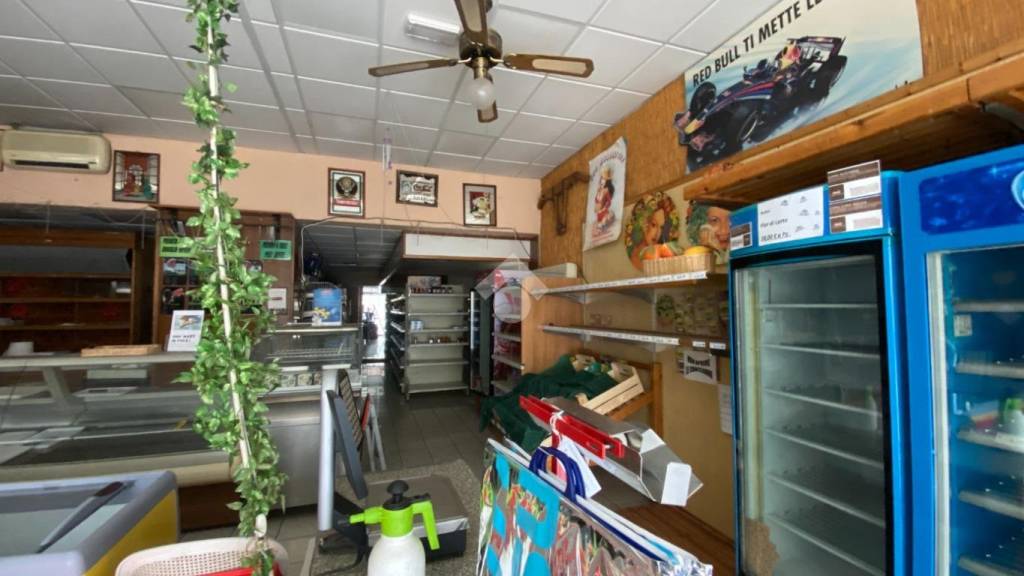 immagine annuncio 4 di 12