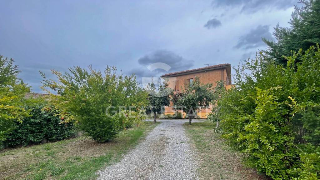 immagine annuncio 1 di 14