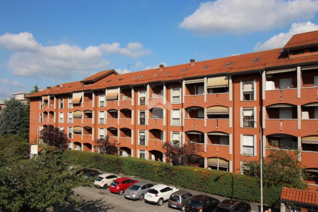 immagine annuncio 1 di 14