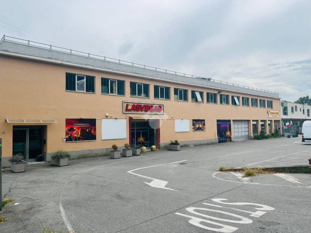 immagine annuncio 5 di 9