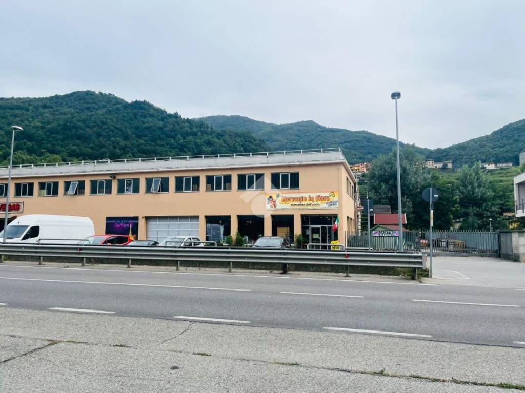 immagine annuncio 6 di 9