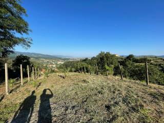 Terreno agricolo in vendita a pistoia via sarripoli e brocchi di paolone