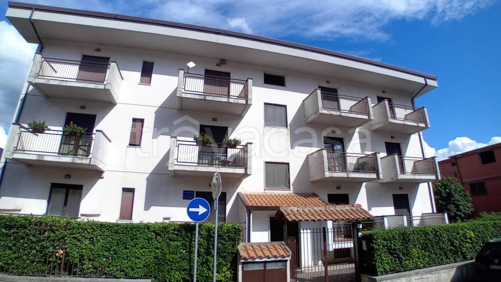 immagine annuncio 10 di 11