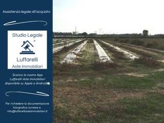 Terreno agricolo in vendita a latina strada del pantanello