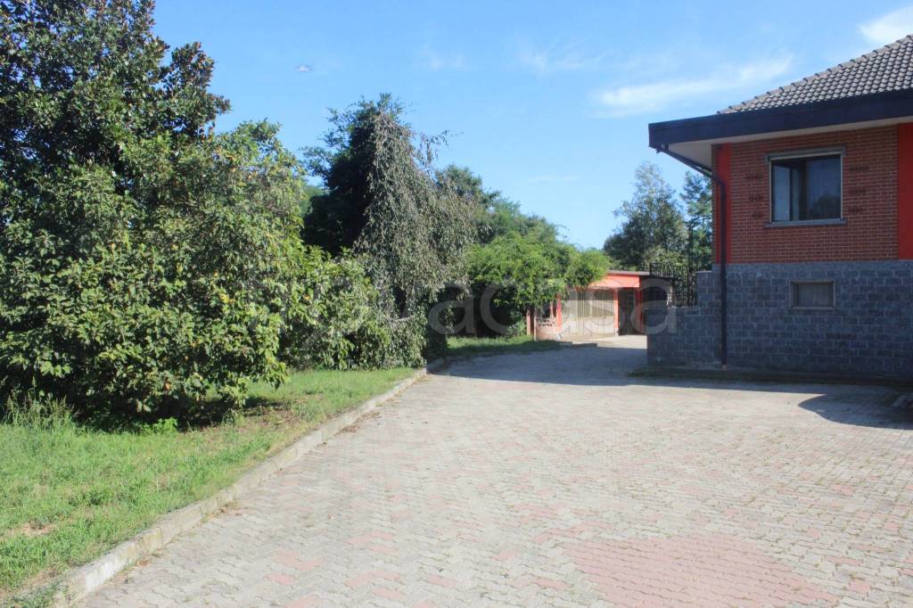 immagine annuncio 3 di 15