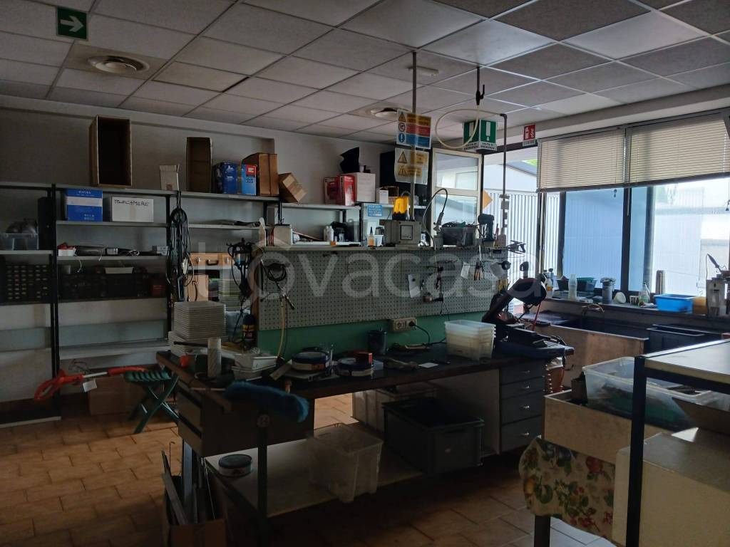 immagine annuncio 3 di 15