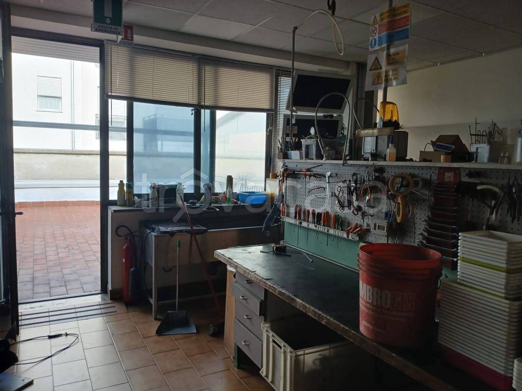 immagine annuncio 5 di 15