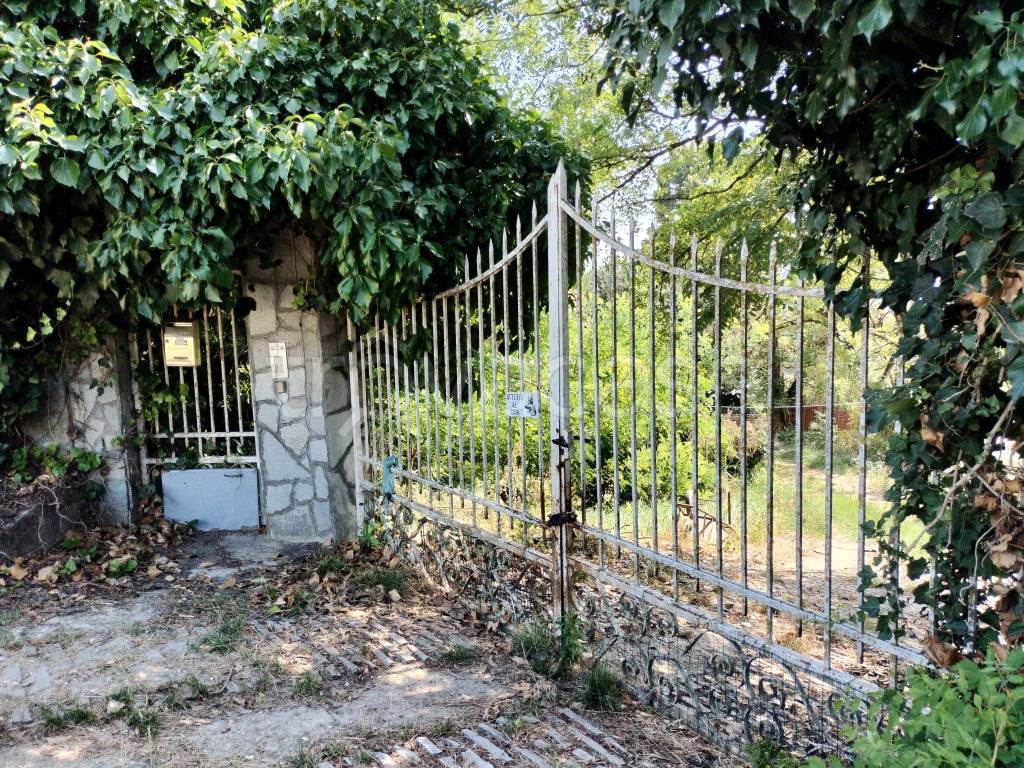 immagine annuncio 2 di 13
