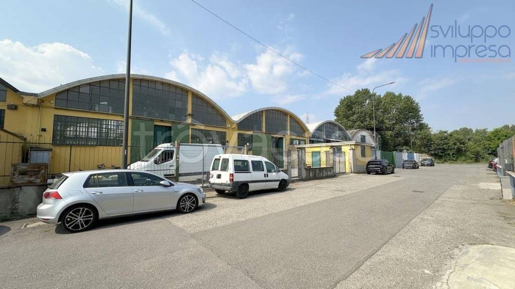 immagine annuncio 4 di 15