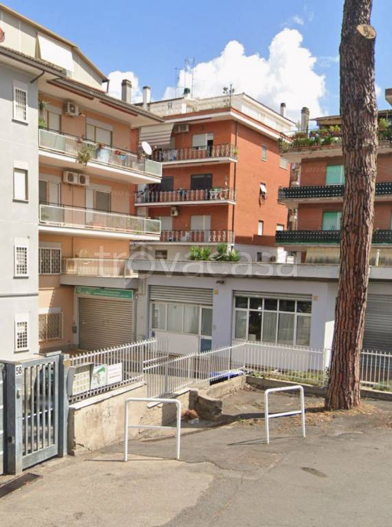 immagine annuncio 5 di 10
