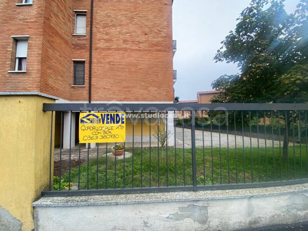 immagine annuncio 5 di 15