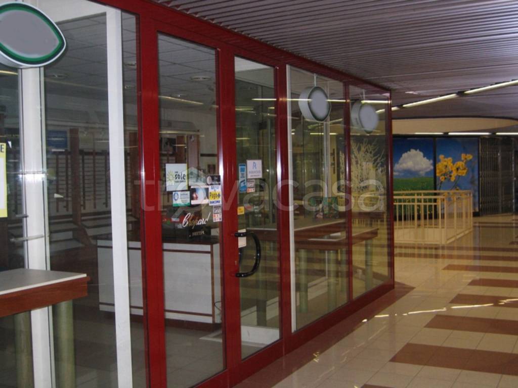 immagine annuncio 2 di 3