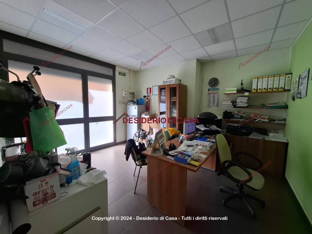 immagine annuncio 3 di 11