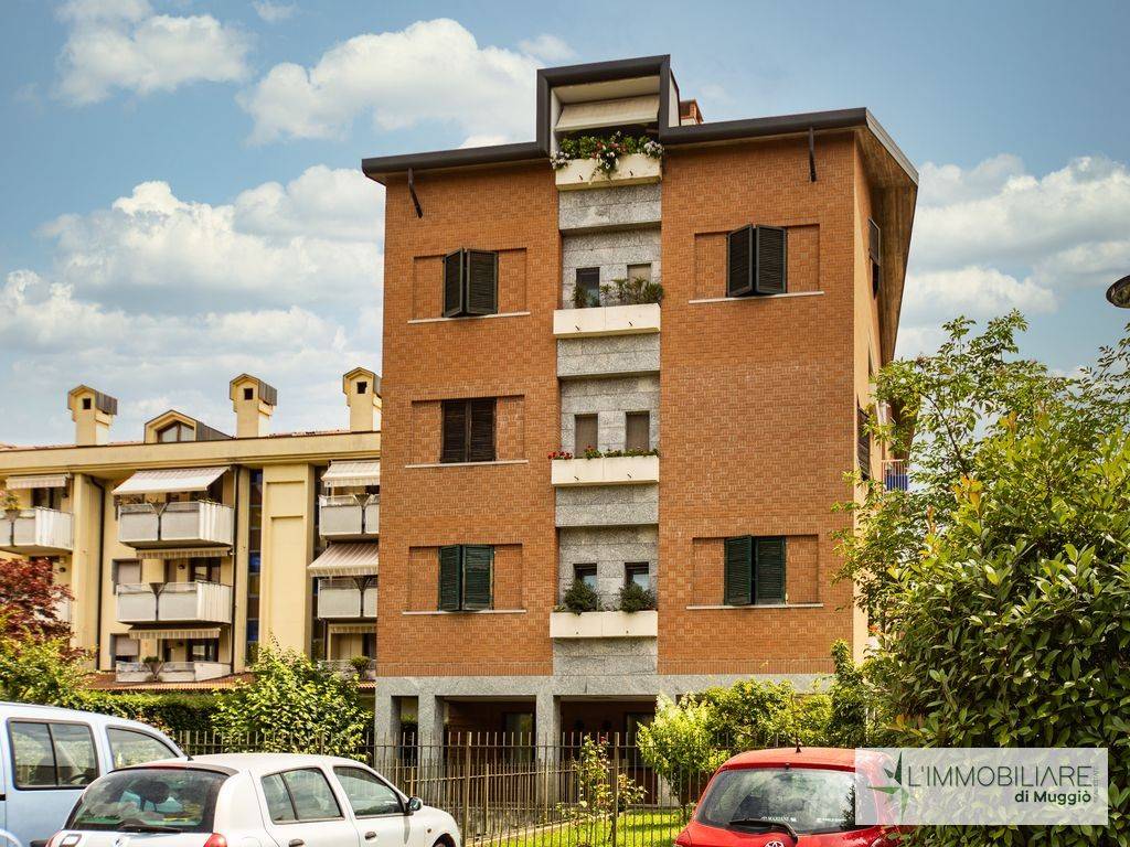 immagine annuncio 7 di 15