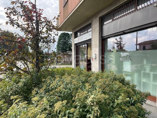 immagine annuncio 3 di 6
