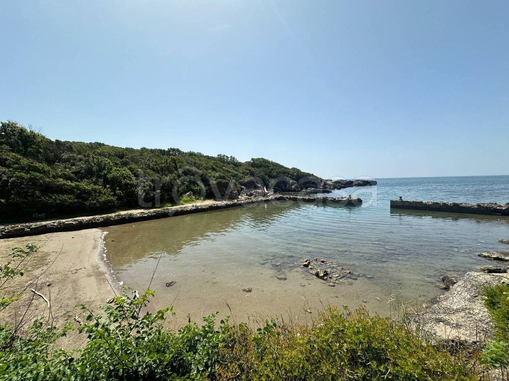 immagine annuncio 11 di 14