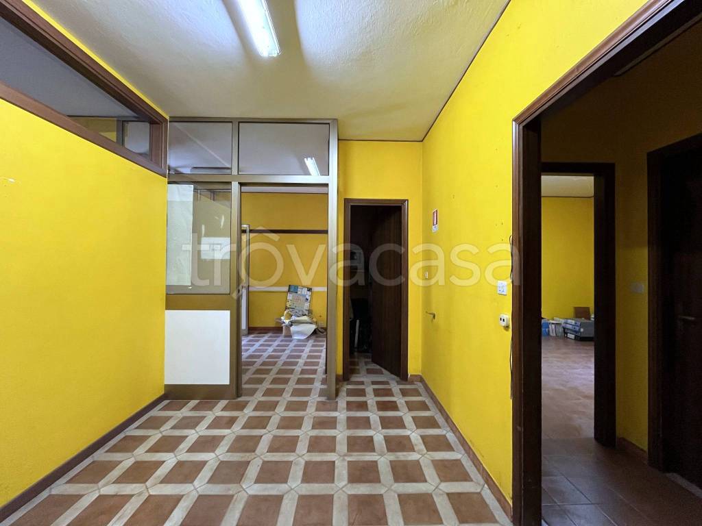 immagine annuncio 7 di 14