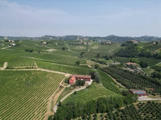 Terreno agricolo in vendita a nizza monferrato 