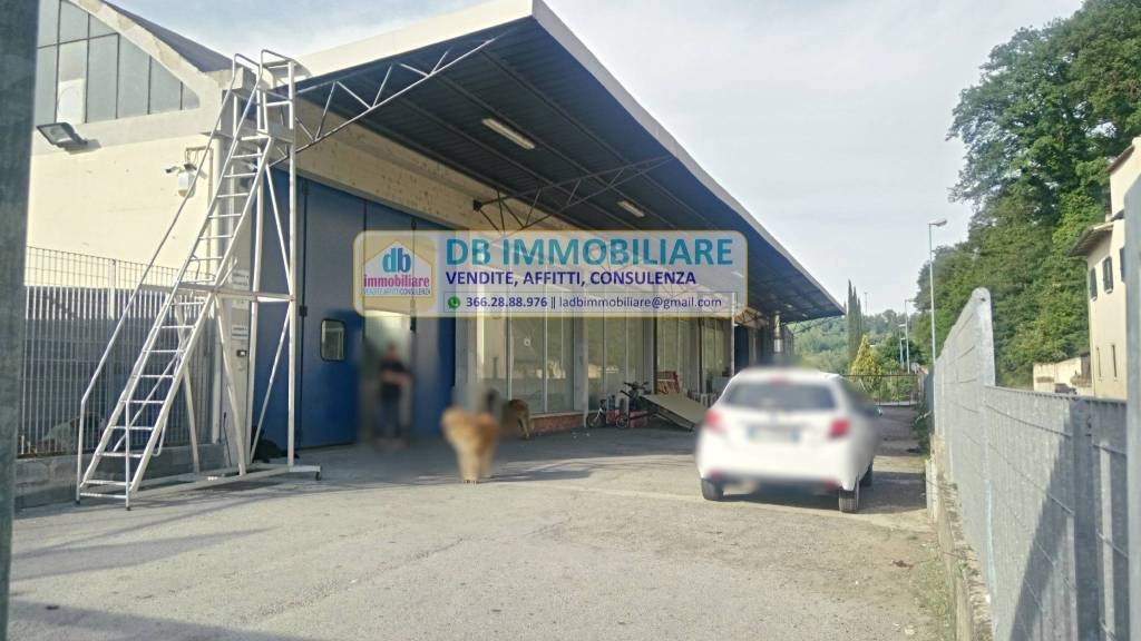 immagine annuncio 4 di 9