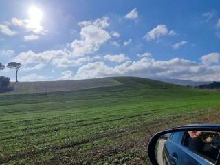 Terreno agricolo in vendita a biccari sp133