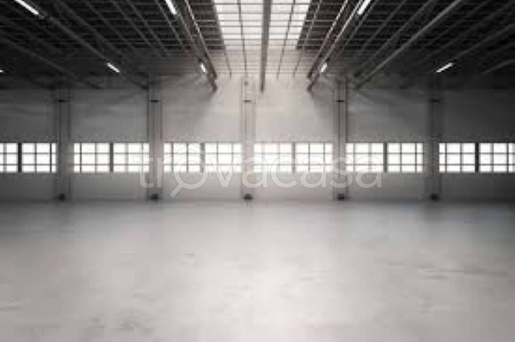 immagine annuncio 3 di 8