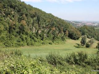 Terreno agricolo in vendita a traversetolo strada provinciale 17