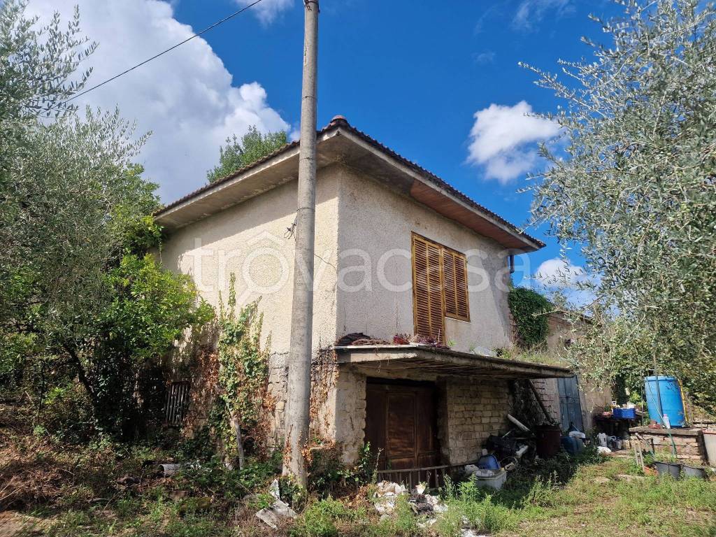 immagine annuncio 1 di 8