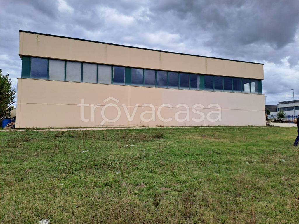 immagine annuncio 3 di 8