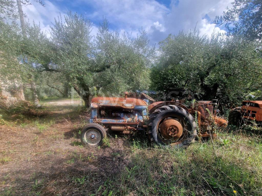 immagine annuncio 7 di 8