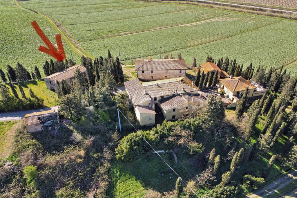immagine annuncio 8 di 14