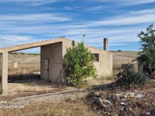 Terreno agricolo in vendita a matera strada provinciale fondo valle bradano