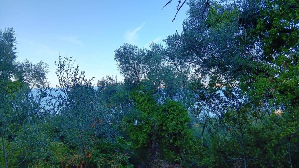 immagine annuncio 9 di 14