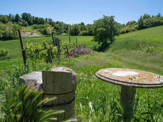 Terreno agricolo in vendita a valenza 