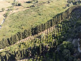 Terreno agricolo in vendita a collesano c.da sant'agata, snc