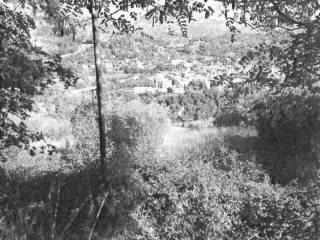 Terreno agricolo in vendita ad ascoli piceno via oberdan, .