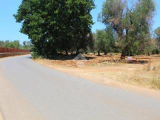 Terreno residenziale in vendita a san vito dei normanni contrada san giacomo