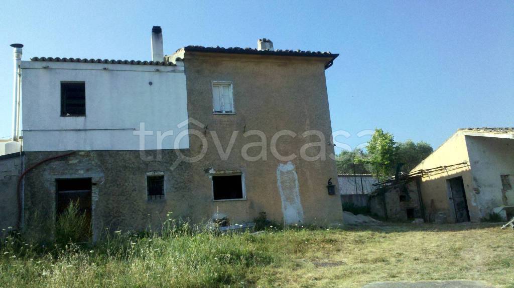 immagine annuncio 4 di 13