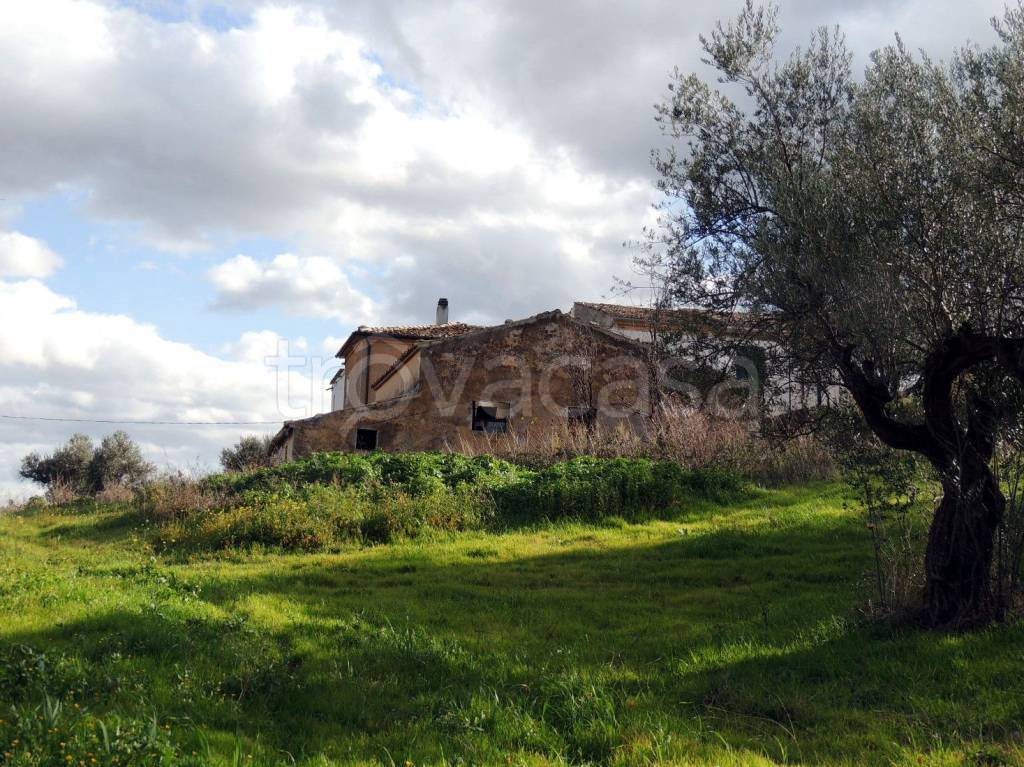 immagine annuncio 10 di 13