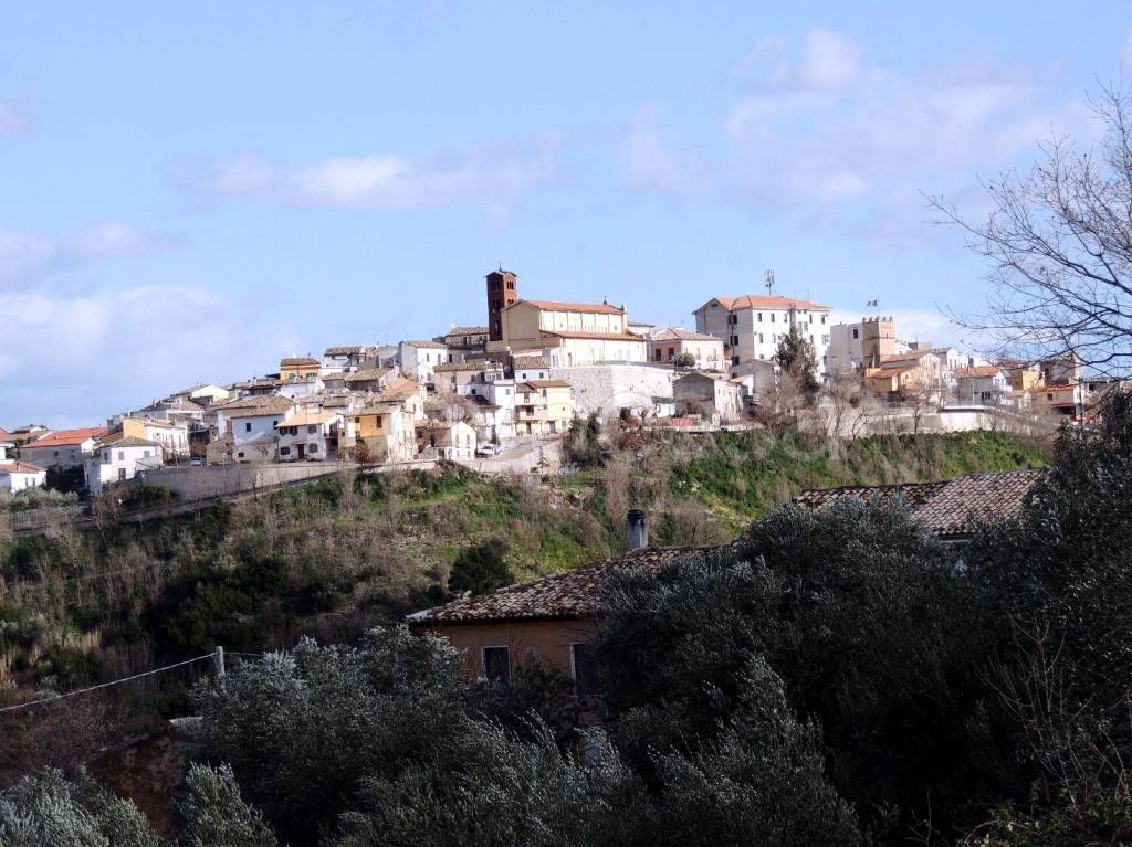 immagine annuncio 12 di 13