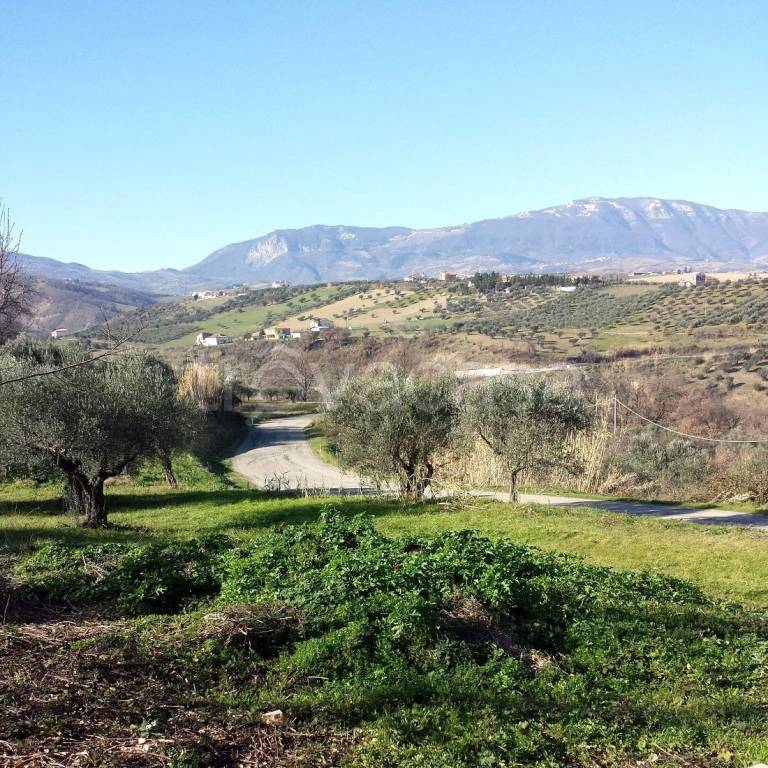 immagine annuncio 11 di 13