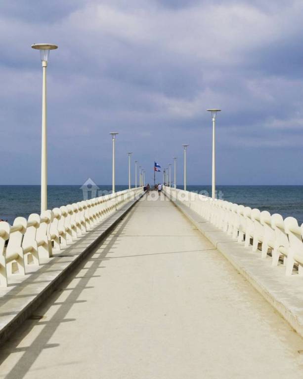 immagine annuncio 7 di 14
