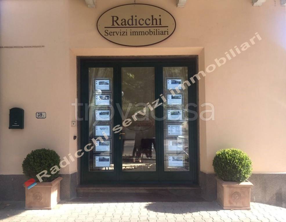 immagine annuncio 2 di 14