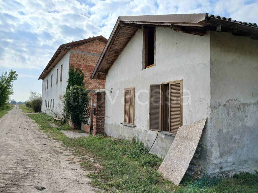 immagine annuncio 4 di 12