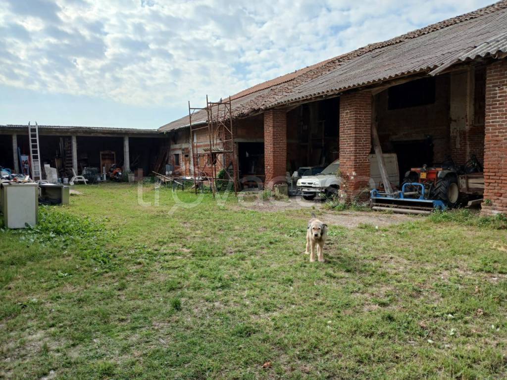 immagine annuncio 8 di 12