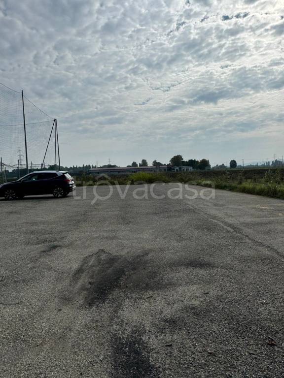 immagine annuncio 9 di 14