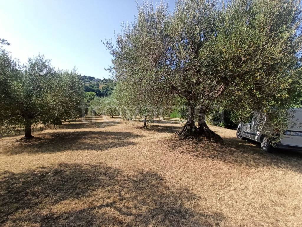 immagine annuncio 10 di 13