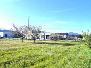 Terreno agricolo in affitto a palombara sabina strada ponte delle tavole, snc.