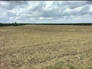 Terreno agricolo in vendita a canosa di puglia via puglia